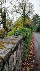 Sticker - A brick wall with ivy growing on it