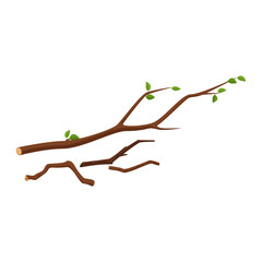 tree branch pile with leaves and dry twigs in firewood collection vector illustration