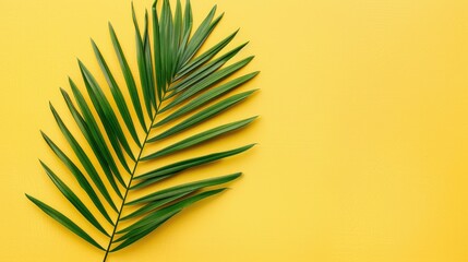 Wall Mural - Tropical palm leaf on yellow background summer theme flat lay square view