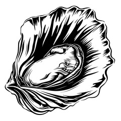 Wall Mural - Oyster Black Vector Illustration with Pearl