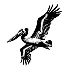 Wall Mural - Pelican Black Vector Illustration