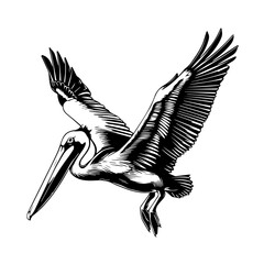 Wall Mural - Pelican Black Vector Illustration