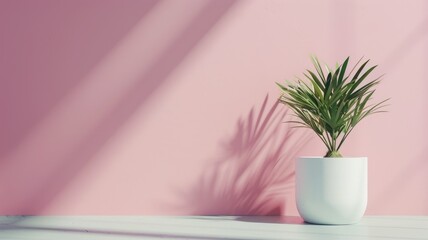 Wall Mural - Small green plant in white pot against pink wall casting shadow Indoor minimalistic decor with natural light