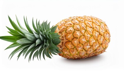 pineapple fruit food isolated tropical fresh healthy sweet natural nature