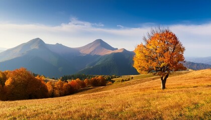 Poster - panoramic landscape at autumn with tree and mountain