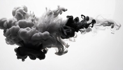 Wall Mural - white background with a black and grey ink cloud creating a smoky effect