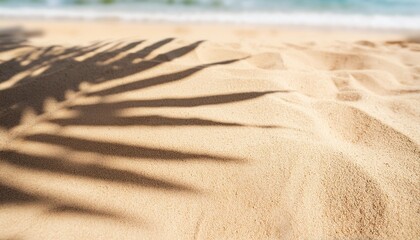 Wall Mural - blurred shadow from palm leaves on beach sand texture summer mockup for product presentation tropical palm leaf on sea sand holiday background concept travel