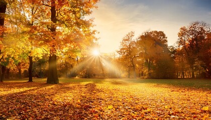 Wall Mural - autumn landscape fall scene trees and leaves park in sunlight rays