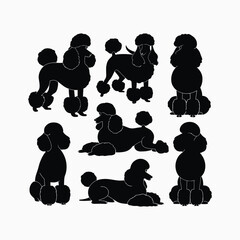 Poodle dog silhouette set animals vector template