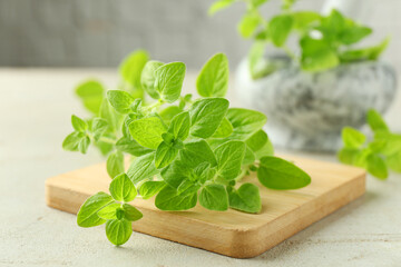 Wall Mural - Sprigs of fresh green oregano on light textured table, closeup