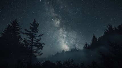 Wall Mural - stunning night sky with countless stars and milky way galaxy nature s beauty in focus