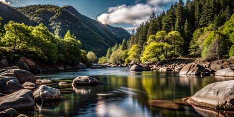 Wall Mural - Tranquil river flowing through lush green forest