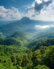 Wall Mural - Aerial top view forest tree, Rainforest ecosystem and healthy environment concept and background, Texture of green tree forest view from above