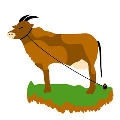 Wall Mural - Cow in the grass vector