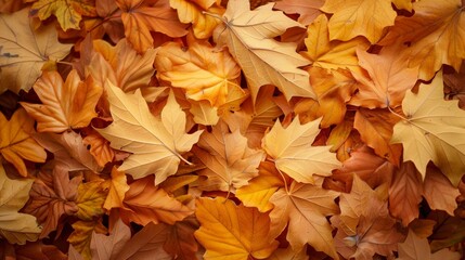 Wall Mural - Autumn Background with Pile of Yellow and Orange Leaves 