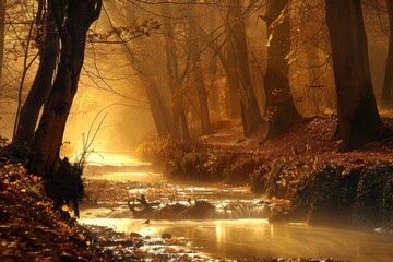 Wall Mural - Autumn Forest Stream