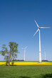 © elxeneize - Wind power turbines and a lonesome tree seen in rural Germany