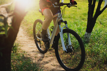 Wall Mural - Woman biker mountain biking on mountain forest trail