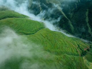 Wall Mural - Aerial view of beautiful high altitude forest grassland mountain landscape