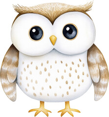 Adorable Wide-Eyed Owl Illustration with Beautiful Feather Details