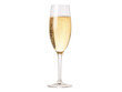 © TONSTOCK - a glass of champagne with bubbles