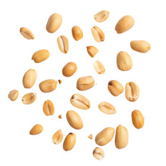 Wall Mural - Tasty and nutritious peanuts isolated on transparent white background, clipping path