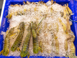 Sticker - Shrimp and crayfish on ice at the market.