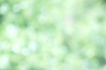 Wall Mural - Soft focus Green Pastel Abstract bokeh background Glittering aesthetic textured pattern