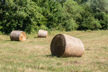 Baled hay on countryside mountain meadow closeup on sunny summer day