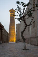 Wall Mural - The Kalyan Minaret in Bukhara, Uzbekistan