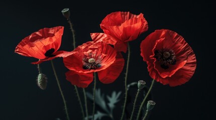 Canvas Print - Red flowers in vase