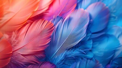 Poster - Colorful feather background Copy space : Generative AI