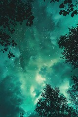 Poster - Night Sky with Stars and Trees