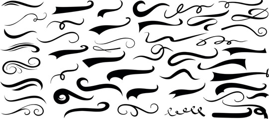Wall Mural - elegant swirls, decorative flourishes, calligraphic element, vintage curves vector artistic designs 