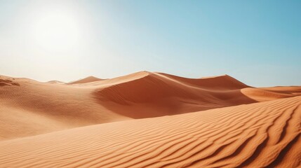 Poster - Sandy Dunes in a Desert Landscape