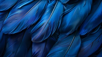 Poster - Blue posters on a black background : Generative AI