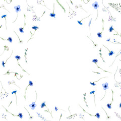 Frame made with Watercolor blue cornflowers and wildflowers, wedding isolated illustration