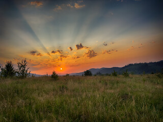 Wall Mural - Wonderful landscape view on the Carpathian Mountains during the sunset in the summer season 