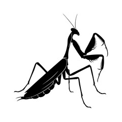 Mantis silhouette vector illustration