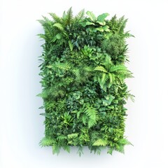 Wall Mural - An illustration of a wall plant in 3D isolated on a transparent background