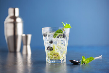 Wall Mural - Summer refreshing drink with kiwi, blueberries and ice. Detox water