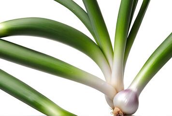 Wall Mural - fresh green onion isolated white background high resolution high details vibrant