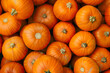 © ADDICTIVE STOCK - Bright orange pumpkins arranged for Halloween. Generative AI image
