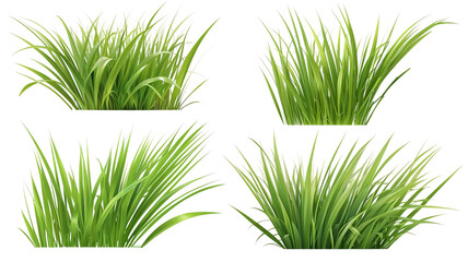 Green grass summer plants clump set, transparent background.