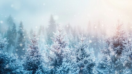 Winter Scenery with Frost and Snow on Evergreen Trees