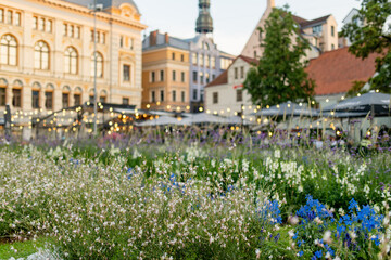 Wall Mural - Flower beds on a backdrop of colorful cobblestone street of Riga. Vibrant city life in the capital of Latvia