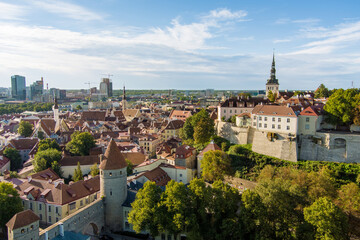 Wall Mural - Iconic aerial skyline view of Tallinn Old Town and Toompea hill on a sunny summer evening. Stenbock House, Patkuli viewing platform, defensive walls, rooftops.