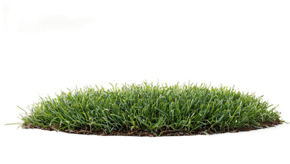 patch of fresh green lawn grass cut out isolated on white