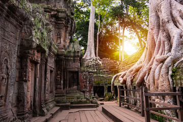 Wall Mural - Angkor Thom, ancient temple ruins in Cambodia jungle with tree roots