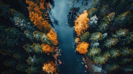 Wall Mural - a beautiful view of a river with trees on either side. the trees are in various stages of autumn, wi